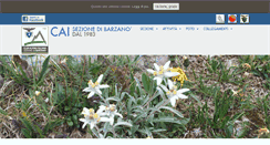 Desktop Screenshot of caibarzano.it
